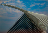 Singular Structures