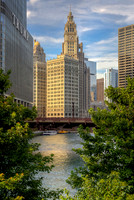 Chicago  The Wrigley Bldg