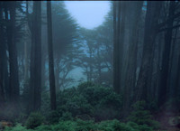 New Zealand