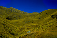 New Zealand
