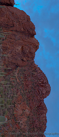 Arizona