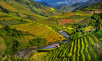 Vietnam