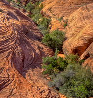Snow Canyon State Park (UT)