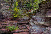 Glacier National Park    Montana