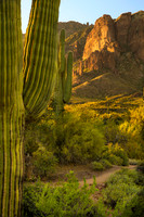 Superstition Mountains (AZ)