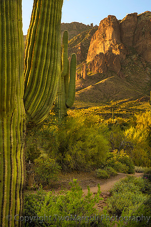 Superstition Mountains (AZ)