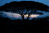 Tanzania