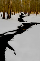 A Stream Runs Through It