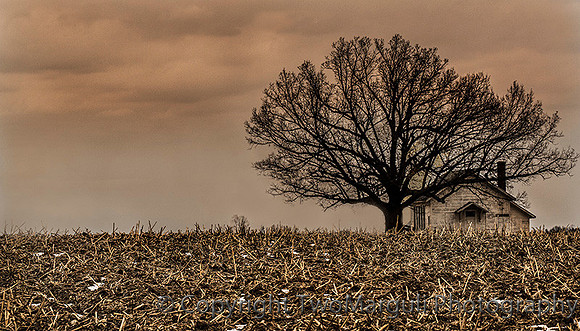 Lonely House