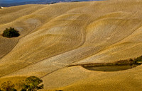 Tuscany