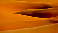 Coral Pink San Dunes (UT)