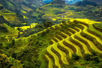 √Vietnam
