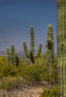 Superstition Mountains (AZ)