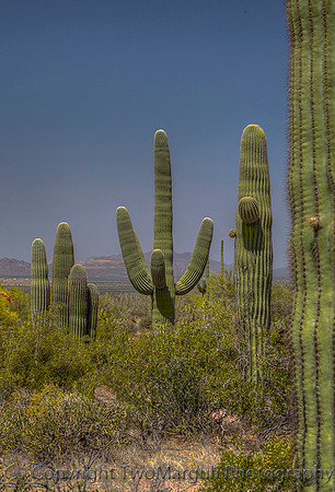 Superstition Mountains (AZ)